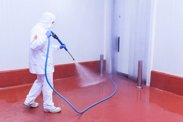 Best Pre-Holiday Cleaning  in Brookville, IN